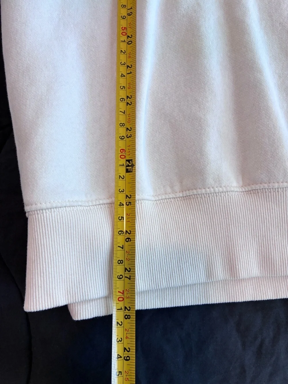 NWT The North Face Ivory Evolution Mock Neck Embroidered Sweatshirt